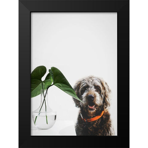 Dog Posing Black Modern Wood Framed Art Print by SD Graphics Studio