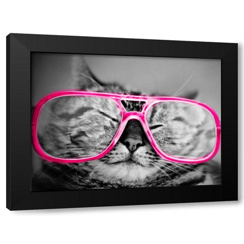 Hip Pets IV Black Modern Wood Framed Art Print with Double Matting by SD Graphics Studio