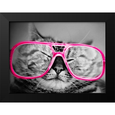 Hip Pets IV Black Modern Wood Framed Art Print by SD Graphics Studio