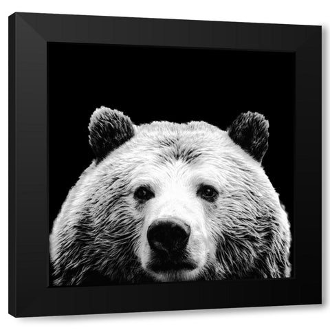 Furry Friends On Black I Black Modern Wood Framed Art Print by SD Graphics Studio