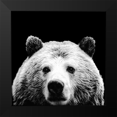Furry Friends On Black I Black Modern Wood Framed Art Print by SD Graphics Studio