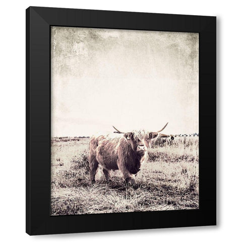 Vintage Highland Cattle Black Modern Wood Framed Art Print with Double Matting by SD Graphics Studio