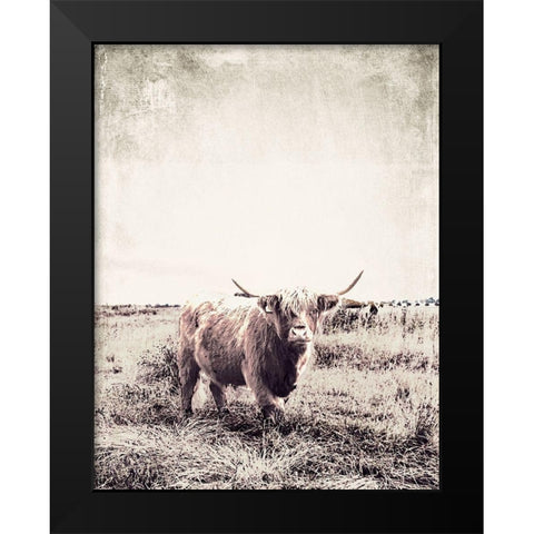 Vintage Highland Cattle Black Modern Wood Framed Art Print by SD Graphics Studio