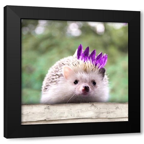 Hedgehog With Crown Black Modern Wood Framed Art Print with Double Matting by SD Graphics Studio