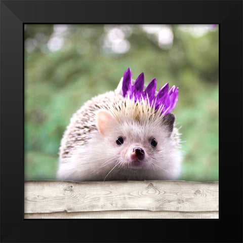 Hedgehog With Crown Black Modern Wood Framed Art Print by SD Graphics Studio