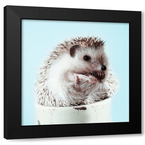 Hedgehog In A Cup Black Modern Wood Framed Art Print by SD Graphics Studio