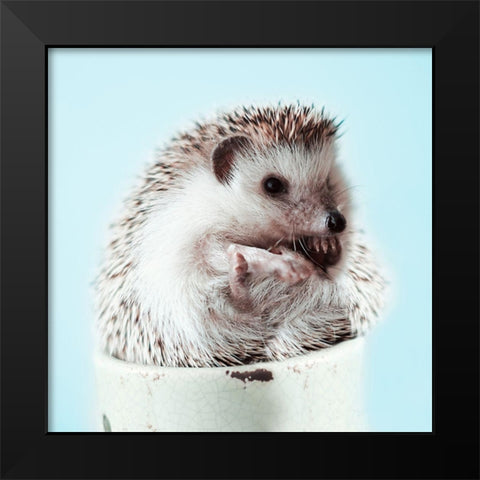 Hedgehog In A Cup Black Modern Wood Framed Art Print by SD Graphics Studio