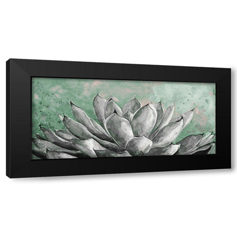 Gray Agave on Green Black Modern Wood Framed Art Print with Double Matting by Pinto, Patricia