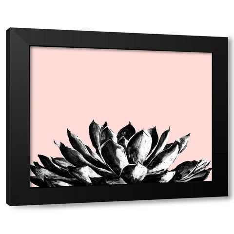 Agave on Blush Black Modern Wood Framed Art Print with Double Matting by Pinto, Patricia