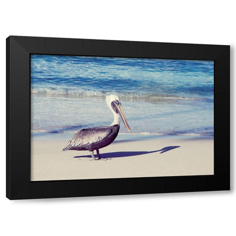 My Shadow Black Modern Wood Framed Art Print with Double Matting by Mansfield, Kathy