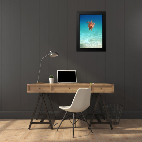 View from Below I Black Modern Wood Framed Art Print by Mansfield, Kathy