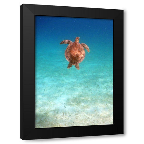 View from Below I Black Modern Wood Framed Art Print with Double Matting by Mansfield, Kathy