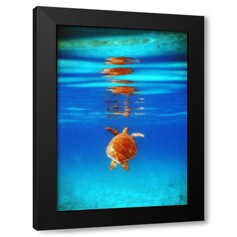 View from Below II Black Modern Wood Framed Art Print by Mansfield, Kathy