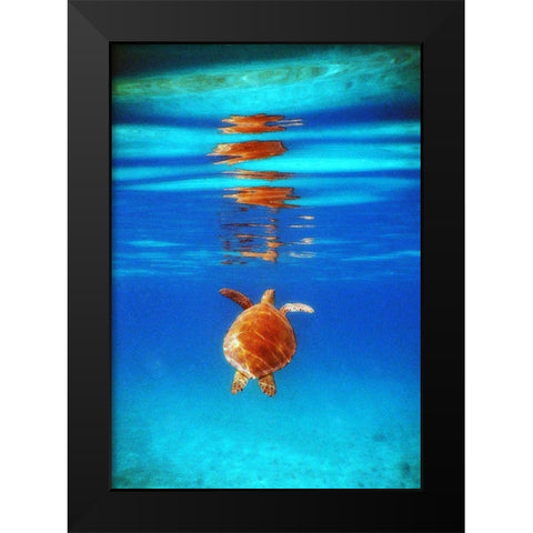 View from Below II Black Modern Wood Framed Art Print by Mansfield, Kathy