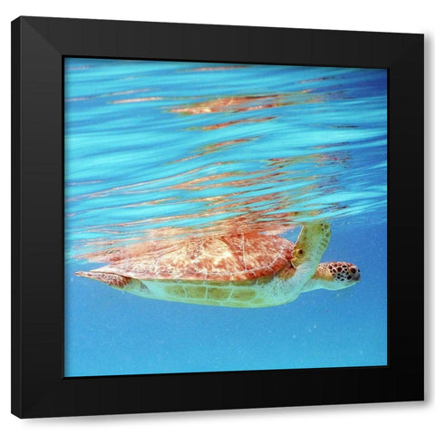 Underwater Depths I Black Modern Wood Framed Art Print by Mansfield, Kathy