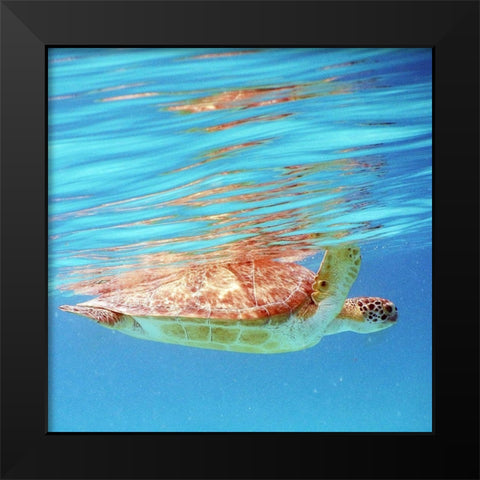 Underwater Depths I Black Modern Wood Framed Art Print by Mansfield, Kathy