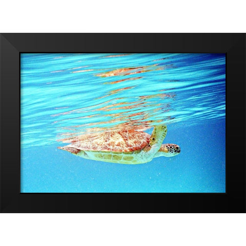 Underwater Depths I Black Modern Wood Framed Art Print by Mansfield, Kathy