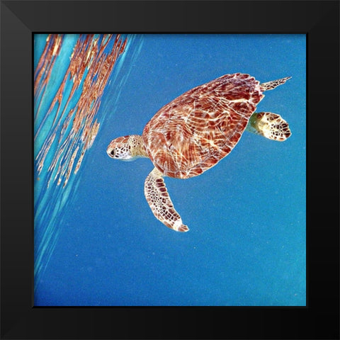 Underwater Depths II Black Modern Wood Framed Art Print by Mansfield, Kathy