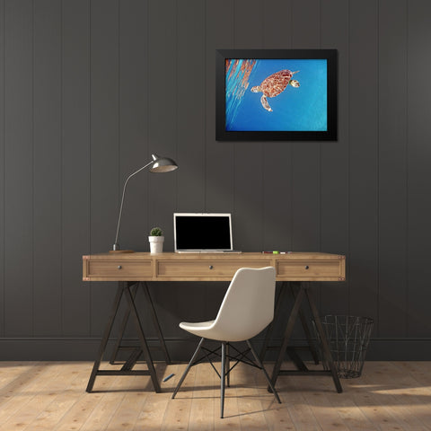 Underwater Depths II Black Modern Wood Framed Art Print by Mansfield, Kathy