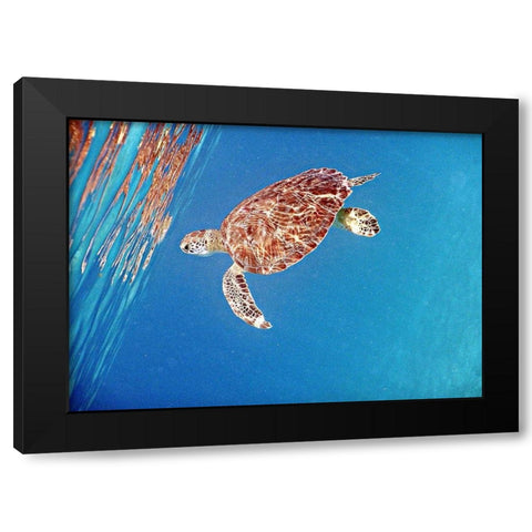 Underwater Depths II Black Modern Wood Framed Art Print by Mansfield, Kathy