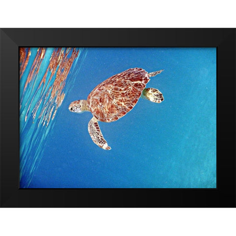 Underwater Depths II Black Modern Wood Framed Art Print by Mansfield, Kathy