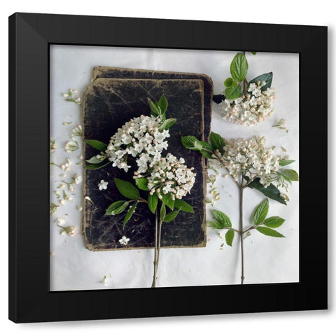 Read in the Garden Square Black Modern Wood Framed Art Print with Double Matting by Gardner, sarah