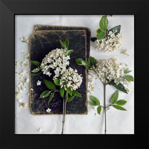 Read in the Garden Square Black Modern Wood Framed Art Print by Gardner, sarah