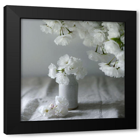 Baby Blooms Black Modern Wood Framed Art Print by Gardner, Sarah