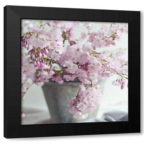 Growth Every Day Black Modern Wood Framed Art Print by Gardner, Sarah