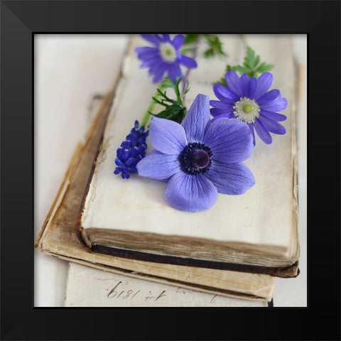 Blissful Blooms Close Up Black Modern Wood Framed Art Print by Gardner, Sarah