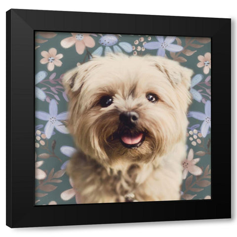 Yorky Portrait Black Modern Wood Framed Art Print with Double Matting by Josefina