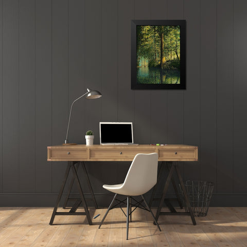 Peaceful River Black Modern Wood Framed Art Print by Nawrocke, Bruce