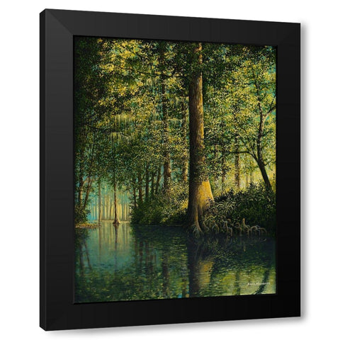 Peaceful River Black Modern Wood Framed Art Print with Double Matting by Nawrocke, Bruce