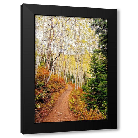 Walk In Christ Black Modern Wood Framed Art Print with Double Matting by Nawrocke, Bruce