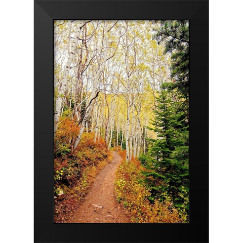 Walk In Christ Black Modern Wood Framed Art Print by Nawrocke, Bruce