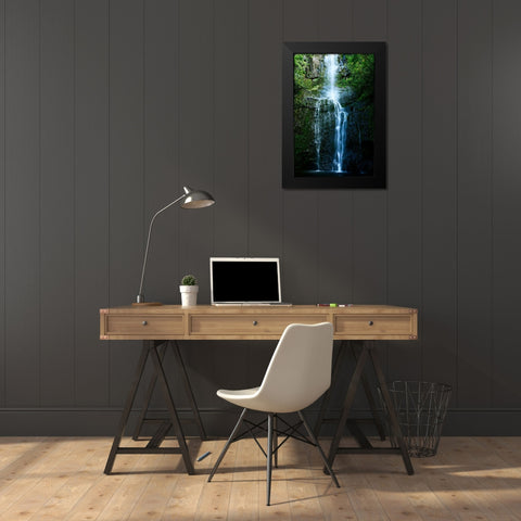 Natural Rain Forest Black Modern Wood Framed Art Print by Nawrocke, Bruce