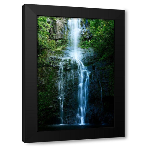 Natural Rain Forest Black Modern Wood Framed Art Print by Nawrocke, Bruce
