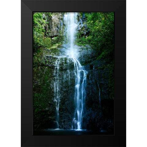 Natural Rain Forest Black Modern Wood Framed Art Print by Nawrocke, Bruce