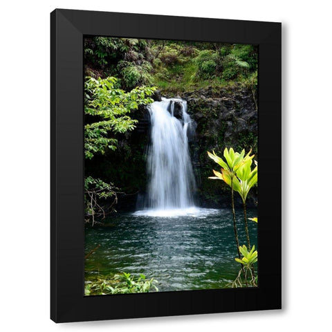 Hide Aways Black Modern Wood Framed Art Print by Nawrocke, Bruce