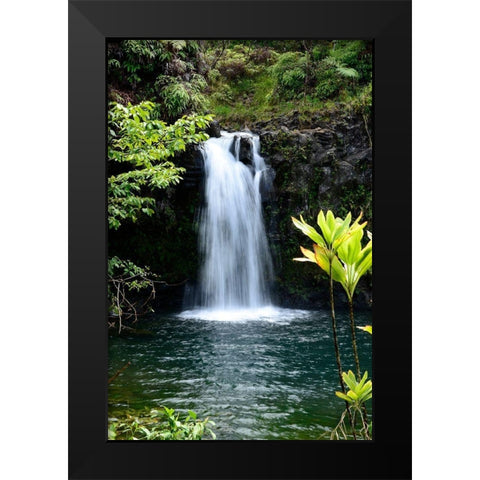 Hide Aways Black Modern Wood Framed Art Print by Nawrocke, Bruce