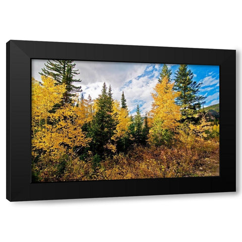 Natures Hidden Treasures I Black Modern Wood Framed Art Print by Nawrocke, Bruce