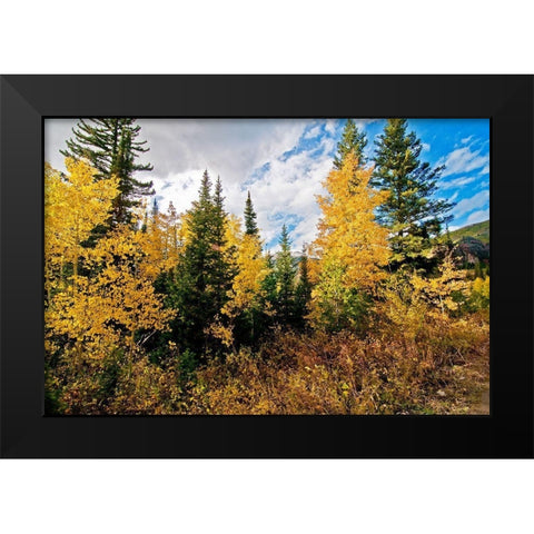 Natures Hidden Treasures I Black Modern Wood Framed Art Print by Nawrocke, Bruce