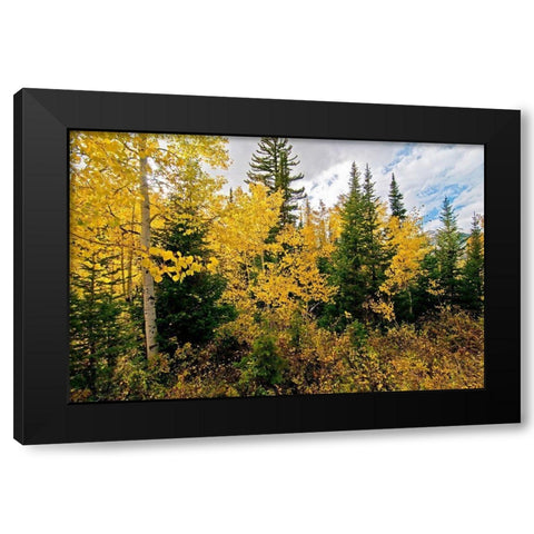 Natures Hidden Treasures II Black Modern Wood Framed Art Print with Double Matting by Nawrocke, Bruce