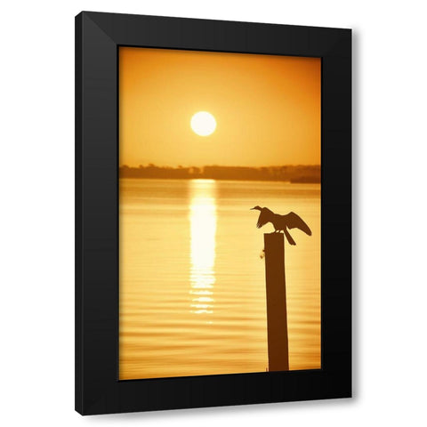 Bird Watch on the Lake Black Modern Wood Framed Art Print with Double Matting by ODell, Debbie