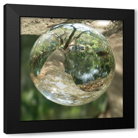 Nature Droplets Black Modern Wood Framed Art Print by ODell, Debbie