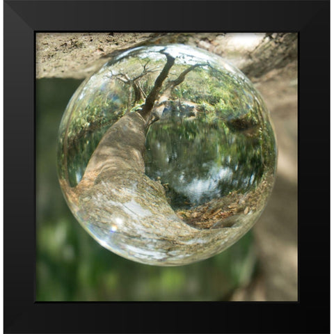 Nature Droplets Black Modern Wood Framed Art Print by ODell, Debbie
