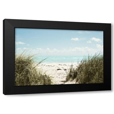 Sunny Days Black Modern Wood Framed Art Print with Double Matting by ODell, Debbie