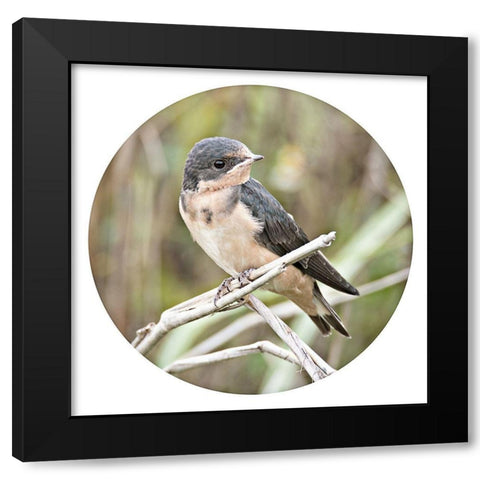 On Watch Out Black Modern Wood Framed Art Print by ODell, Debbie