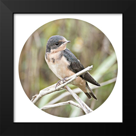 On Watch Out Black Modern Wood Framed Art Print by ODell, Debbie