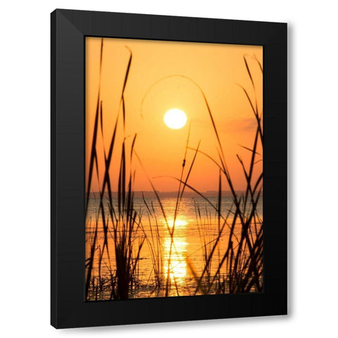 Sunset on the Lake I Black Modern Wood Framed Art Print with Double Matting by ODell, Debbie